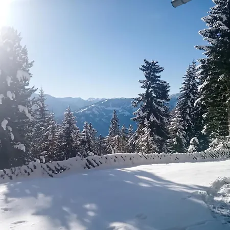 Chalet Edelweisshuette
