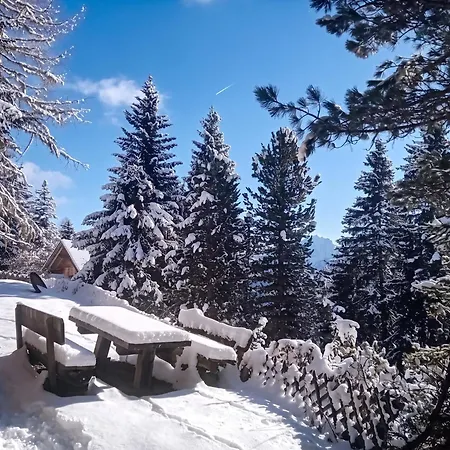 Chalet Edelweisshuette Obernussdorf